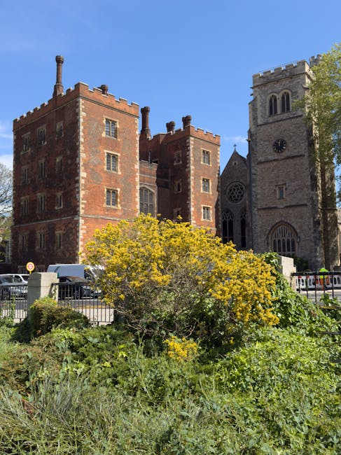 A low-lying green shrub with small yellow flowers and dense leafy foliage is situated in the foreground, occupying the lower portion of the image. Behind the shrub, a paved area with a black metal fence runs along the edge, separating the greenery from the street where several parked vehicles, including white and dark-colored cars and vans, are visible. In the background, there is a historic red brick building with multiple small, evenly spaced rectangular windows and decorative crenellations along the roofline, characteristic of traditional castle-like architecture. Adjacent to this structure is a tall, grey stone church tower with a clock face near the top, arched windows, and a battlemented parapet, indicating its ecclesiastical purpose. The scene is bathed in natural daylight, with a clear blue sky overhead, and a few green-leaved trees partially frame the church tower on the right. This setting appears to be a combination of historic architecture and urban environment, and the scene relates to waste management services, as illustrated by the presence of parked vehicles and the natural setting, which could be maintained for community or private site clearance through professional rubbish removal, such as that offered by Rubbish Collection Lambeth.